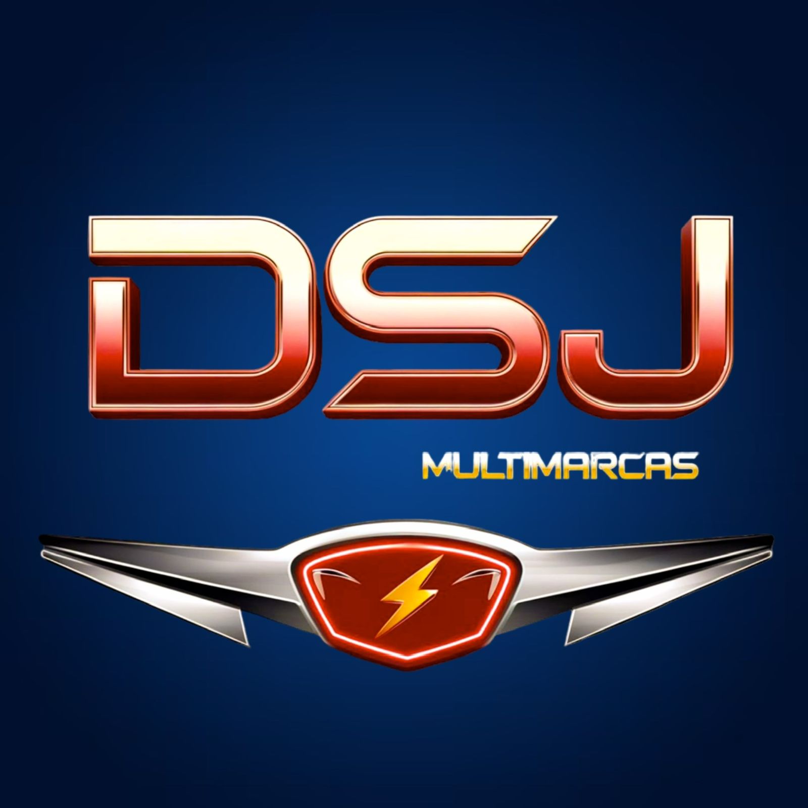 D S J MULTIMARCAS LTDA